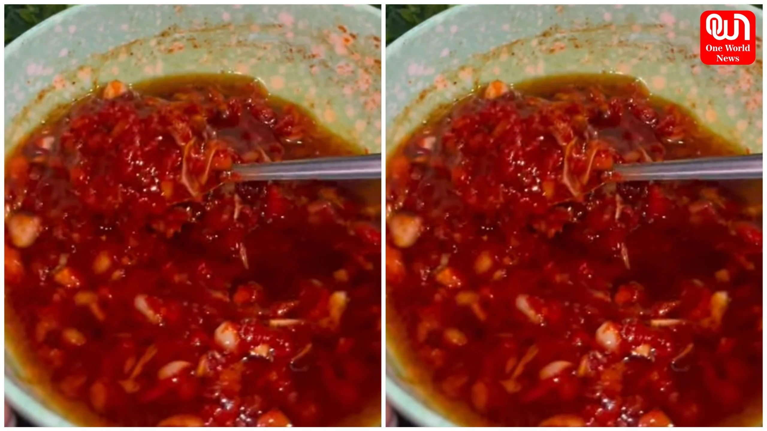 Garlic Chutney Recipe