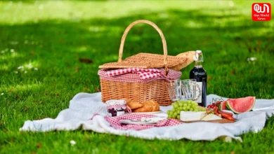 International Picnic Day 2026