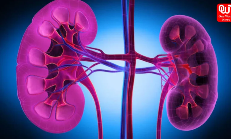 Kidney Health Problems