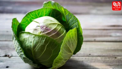 Raw Cabbage Lead to Brain Worms
