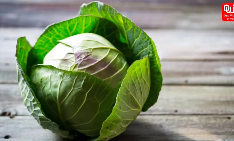 Raw Cabbage Lead to Brain Worms