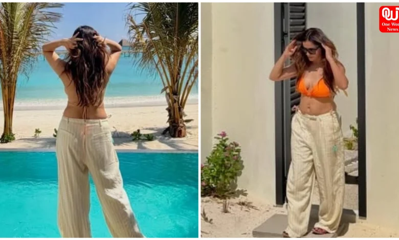 Rubina Dilaik Post