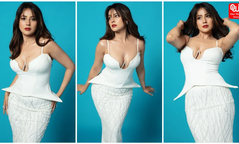 Shehnaaz Gill Look