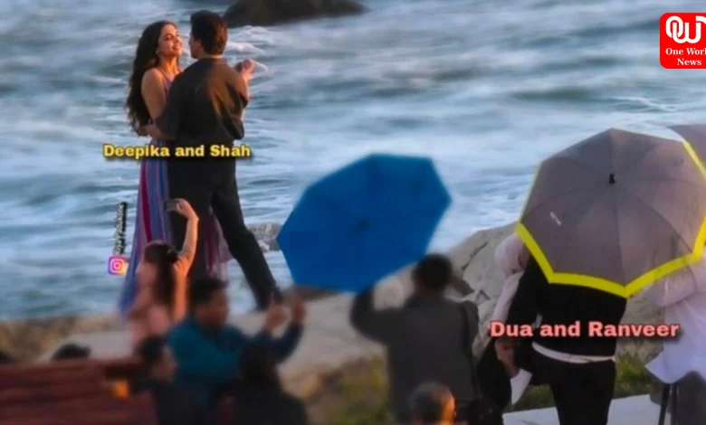 Bollywood Gossip