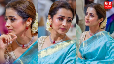 Trisha Krishnan Viral Video