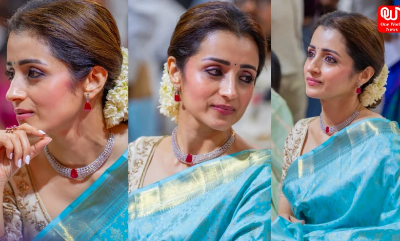Trisha Krishnan Viral Video