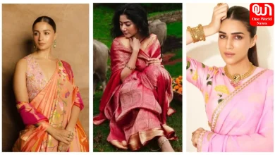 Saree Folding Tips