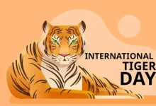International Tiger Day 2026