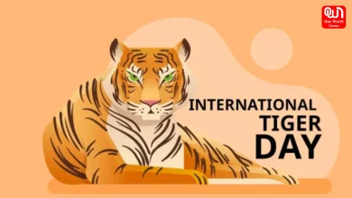 International Tiger Day 2026