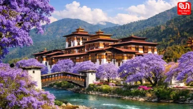 Dreamy Honeymoon Destinations