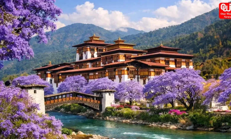 Dreamy Honeymoon Destinations