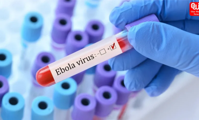 Ebola Virus