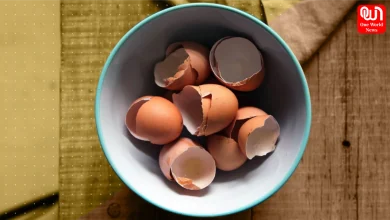Eggshell Powder Calcium Benefits