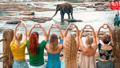 First choice of foreign tourists