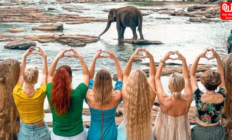 First choice of foreign tourists