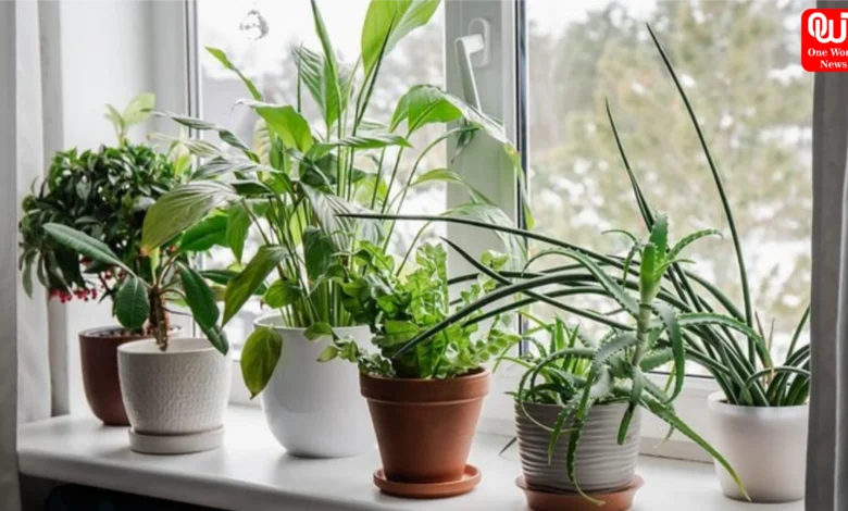 How To Cool Home Without AC