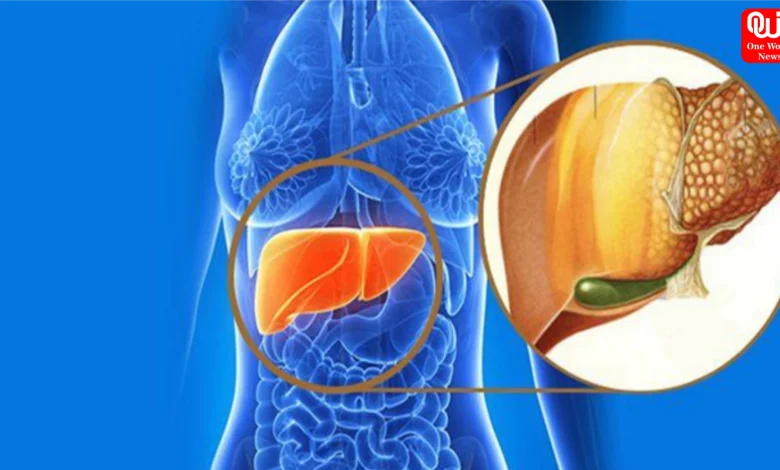 Lean Fatty Liver Disease