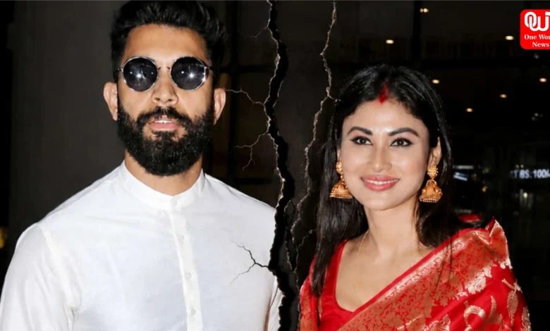 Mouni Roy Suraj Nambiar Divorce
