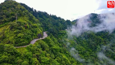 Wayanad Travel Cost