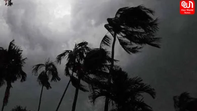 West Bengal Weather Update