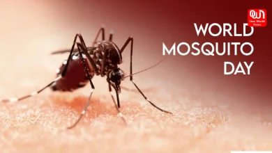 World Mosquito Day 2026