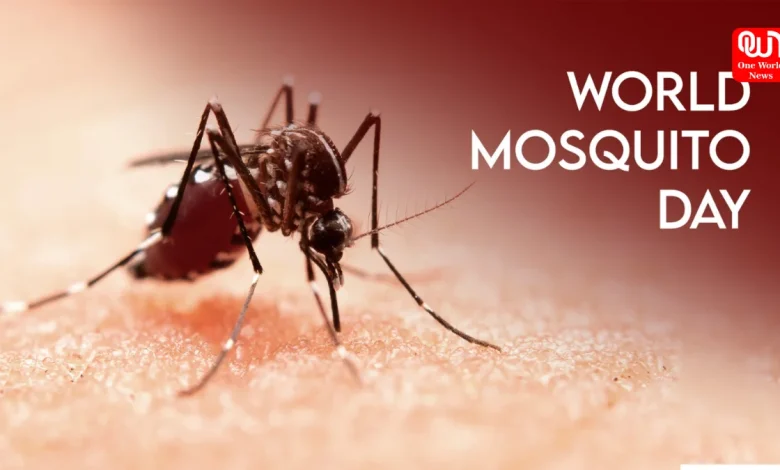 World Mosquito Day 2026
