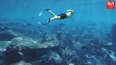 World Snorkeling Day 2026