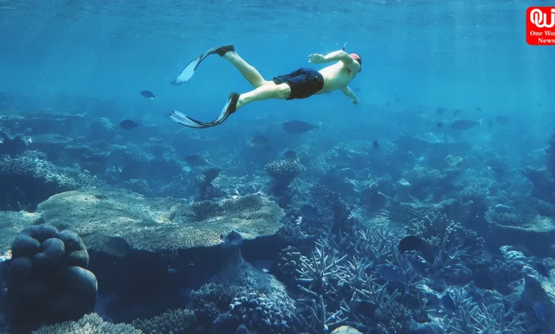 World Snorkeling Day 2026