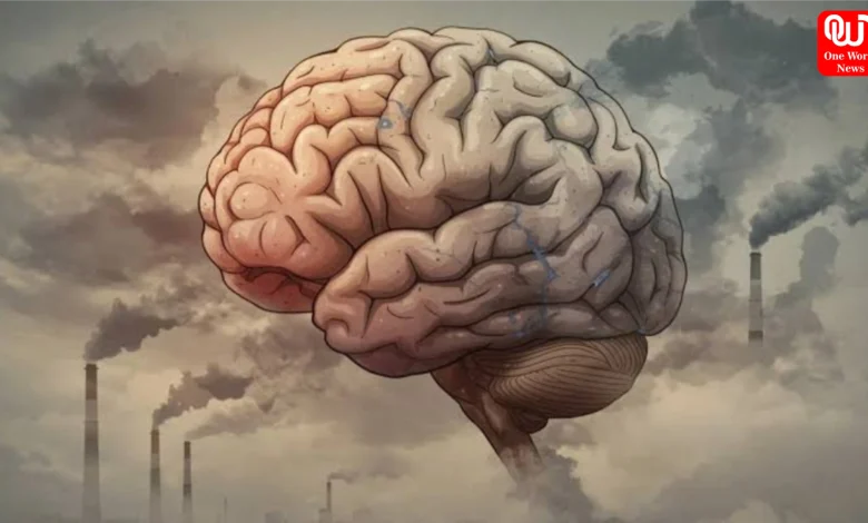 Air Pollution Effects On Brain