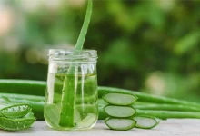 Aloe Vera For Hair