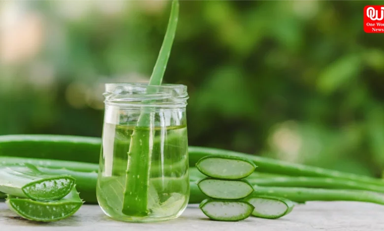 Aloe Vera For Hair