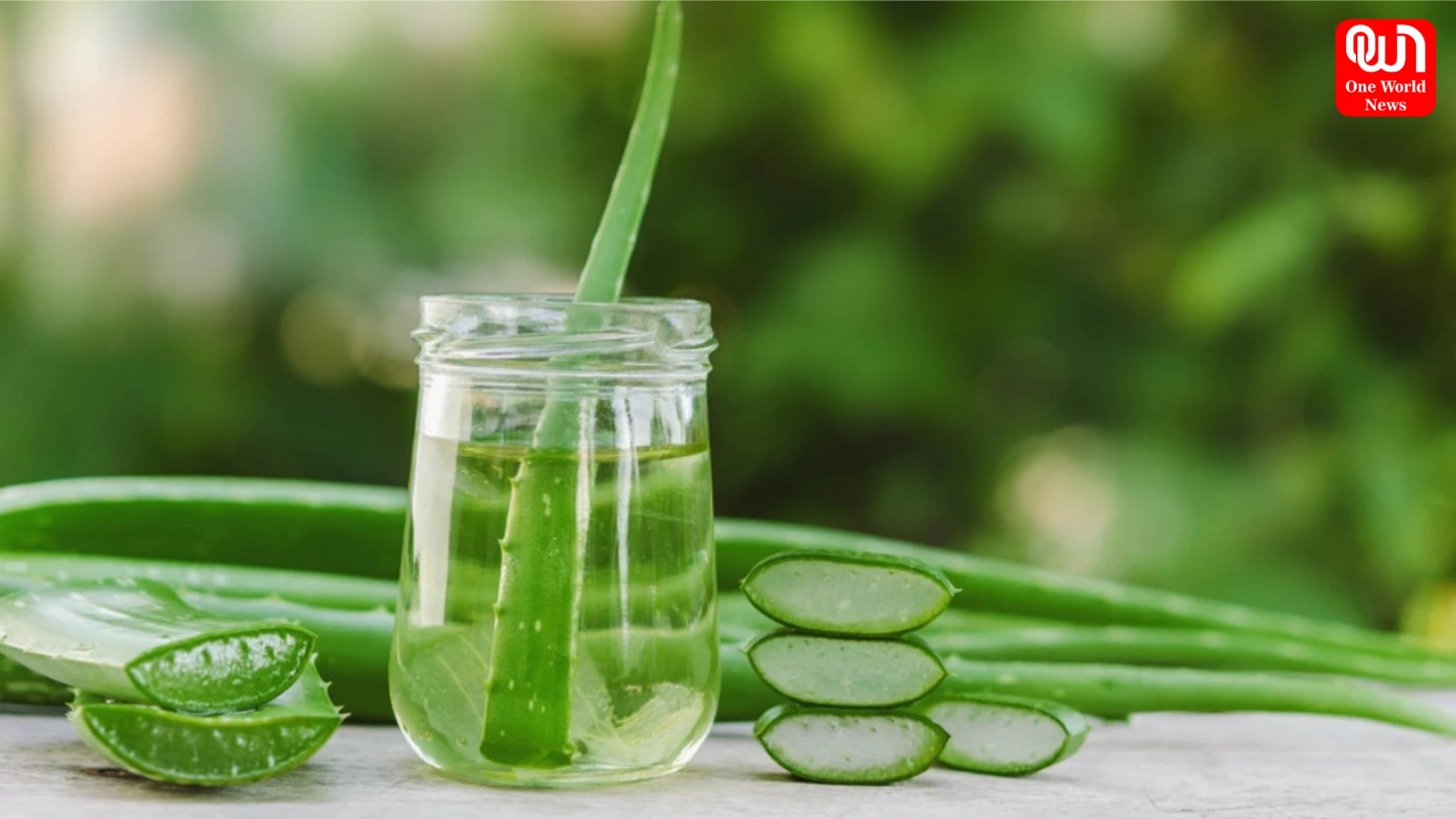 Aloe Vera For Hair