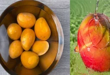 Benefits Of Soaking Mangoes