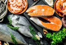 Best Fish for Children