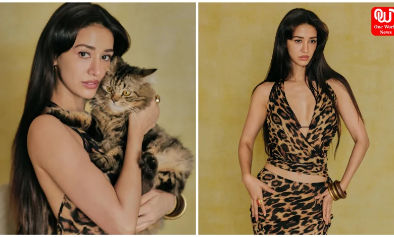 Disha Patani Bold Photos