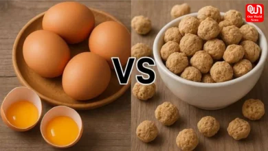 Egg vs Soybean