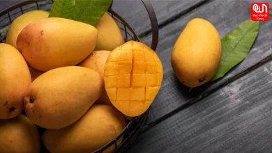 Mango Storage Tips
