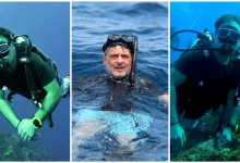 Scuba Diving In Andaman