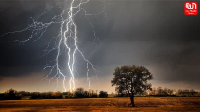 Tips to Avoid Lightning