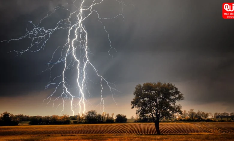 Tips to Avoid Lightning