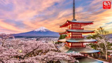 Travel To Japan