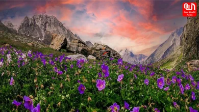 Valley of Flowers