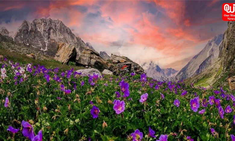 Valley of Flowers