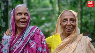 Widow Pension Scheme
