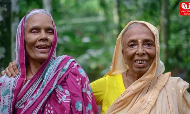 Widow Pension Scheme