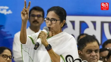 TMC News