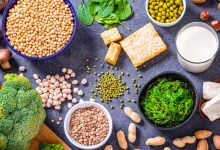 Vegetarian Protein Sources