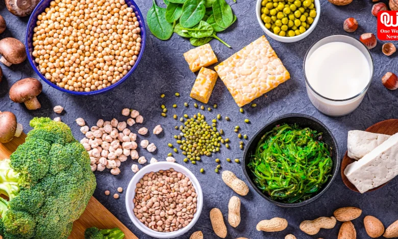 Vegetarian Protein Sources