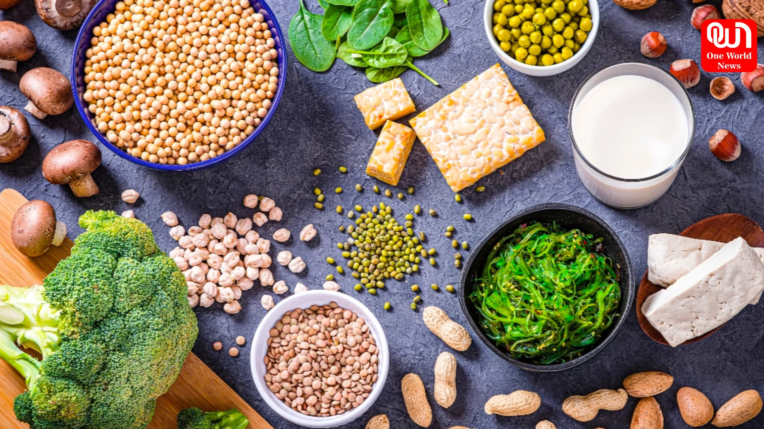 Vegetarian Protein Sources