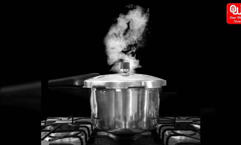 Pressure Cooker Water Leak